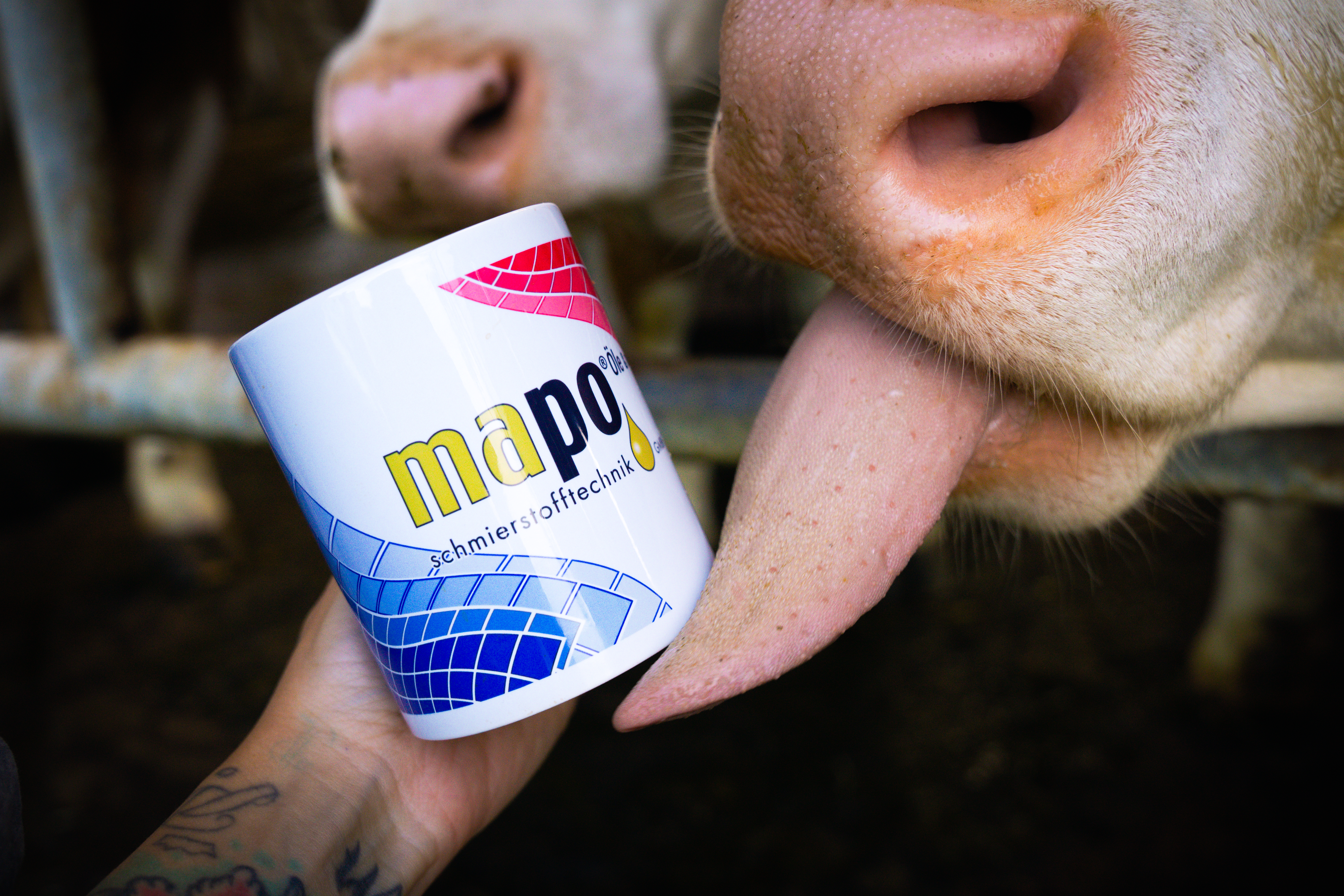 So nachhaltig ist mapo